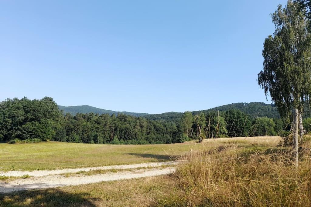 Schiebers Fewo2 Mit 6 Betten Thurmansbang Esterno foto
